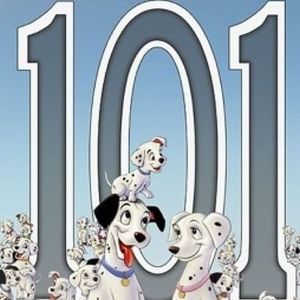 Meet your Posher, Lynne